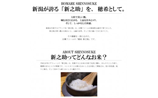 令和8年 新米 新潟県上越市産 穂希 新之助 5kg 精米 株式会社MSD