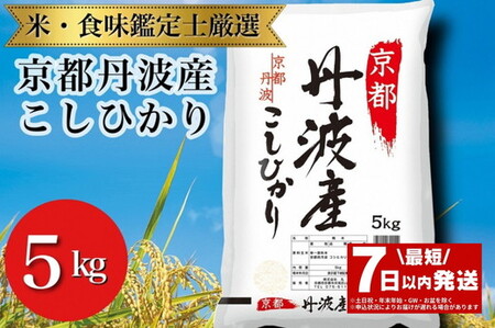 米 コシヒカリ 5kg 米 米 米 米 米