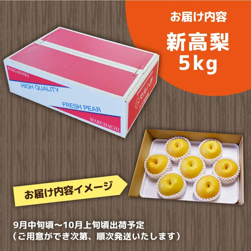 【2026年9月中旬?発送】新高梨 5kg [SBA012] 梨