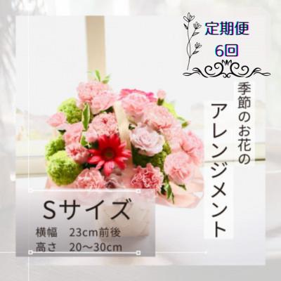 ふるさと納税 筑西市 【毎月定期便】季節のお花のアレンジメントSサイズ〜届いてそのまま飾れるフラワーアレンジ全6回