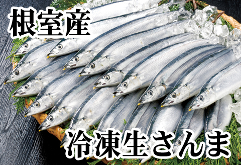 【北海道根室産】さんま30尾セット B-70005