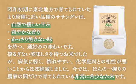 米 ササシグレ 玄米 15kg 農薬不使用 化学肥料不使用 ささしぐれ お米 コメ こめ おこめ ご飯 ごはん 希少 優しい 甘み 