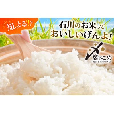 ふるさと納税 宝達志水町 米 定期便 無洗米 石川米 こしひかり 10kg ( 5kg 2袋) 6回 [38601401] |  | 01