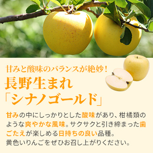 【先行予約】令和8年度産 訳あり りんご シナノゴールド 約10kg 28～40玉入 フルーツ 果物 甘い 訳あり 林檎 リンゴ