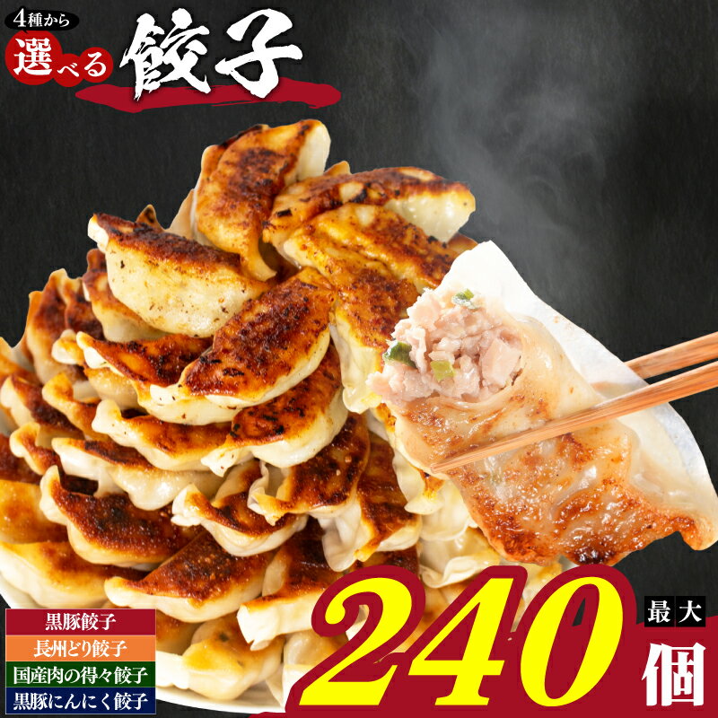 【ふるさと納税】 餃子 72~240個 冷凍 小分け 選べる 定期便 鹿児島県 宮崎県 黒豚餃子 ぎょうざ ギョーザ 豚肉 鶏肉 家族 子ども 弁当 中華 惣菜 大容量 人気 ランキング 美味しい おいしい 焼き餃子 揚げ餃子 訳あり 山口県 下関市