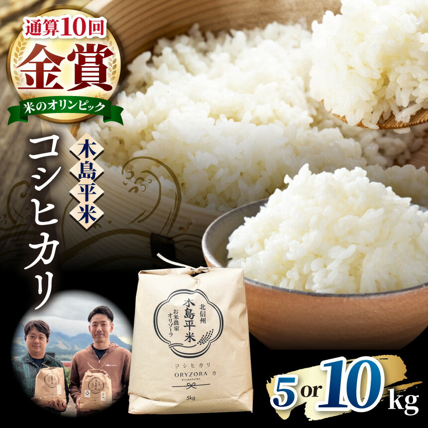 【ふるさと納税】木島平産 特別栽培米コシヒカリ 約5kg、10kg選べます（株式会社オリゾーラ） | 米 こしひかり コシヒカリ 定番 品種 特別栽培 寒暖差 木島平村 長野県 信州