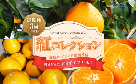 [定期月指定3回]紅コレクション