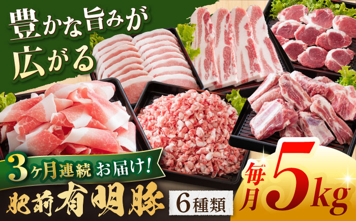
【3回定期便】肥前有明豚 6種 バラエティセット 総計15kg【くすのきファーム】 [NAS104]
