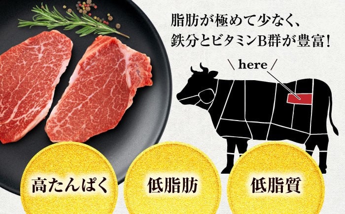 飛騨牛 ヒレ ヒレ肉 赤身 赤身肉 高級 ステーキ 焼き肉