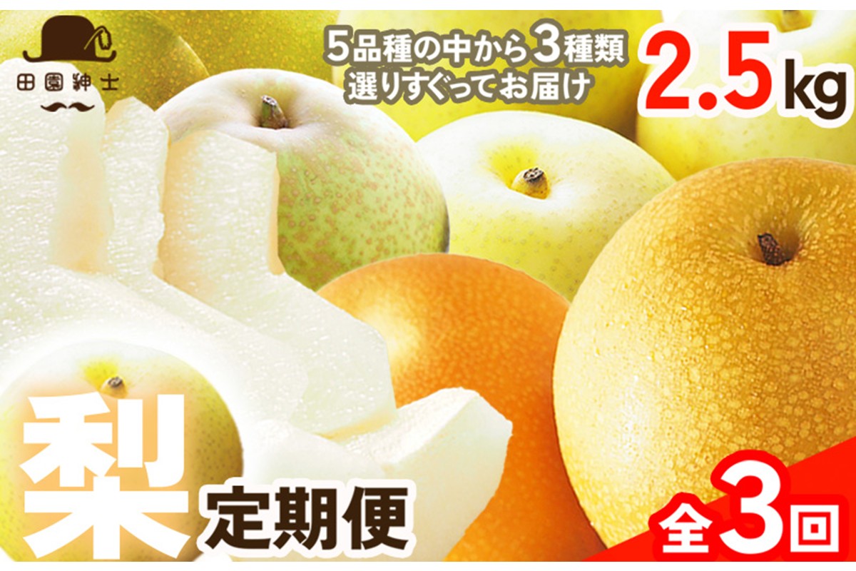 田園紳士厳選「梨好きさんのための定期便3回」（3品種（各約4〜6玉）×3回）　DE00144