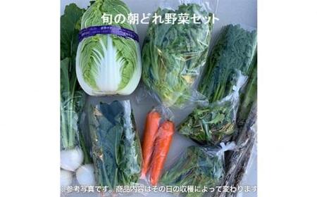 旬の朝どれ野菜おまかせセット ／ やさい 朝採れ 埼玉県