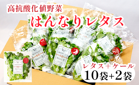 みらい乃野菜 はんなりレタス 10袋+2袋 ： レタス レタス 水耕栽培 ケール ケール