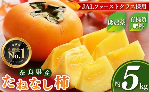 【令和7年分 先行予約】大人気！ リピーター多数！ たねなし柿 約 5kg 箱 （18～24個入）  | フルーツ 果物 くだもの 柿 かき カキ たねなし 種無し 種なし 奈良県 五條市 五條の柿