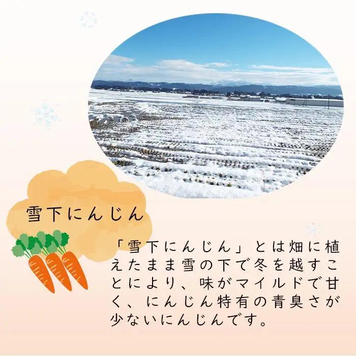 津南高原の雪下人参ジュース　200ml×20本｜新潟　津南　新潟県　雪下　人参　ジュース　野菜ジュース　200ml　20本
