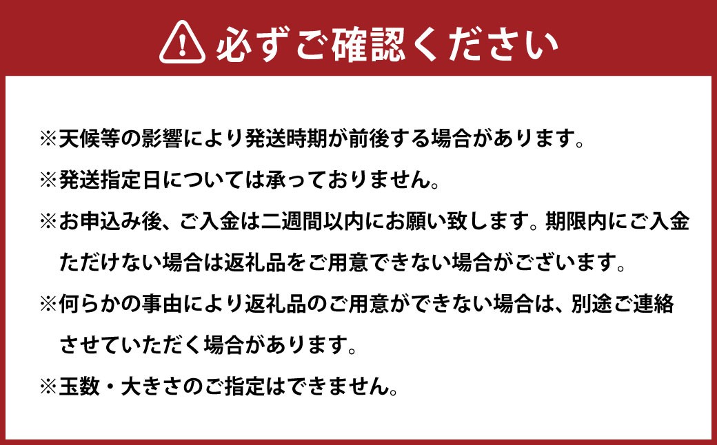 せとか 4L～L 約3kg 化粧箱入り（820）