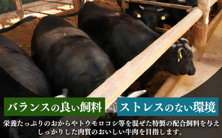 小分け 国産牛 こまぎれ 600g(300gx2)｜ブランド牛 和牛 金井畜産