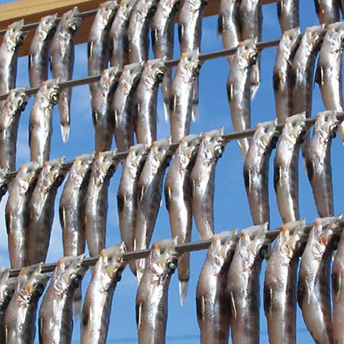 いわき市の魚 めひかりの干物 24尾 ｜ メヒカリ 干物 ひもの 贈答 贈り物 ギフト ｜ 福島県 いわき市 大川魚店 CK007