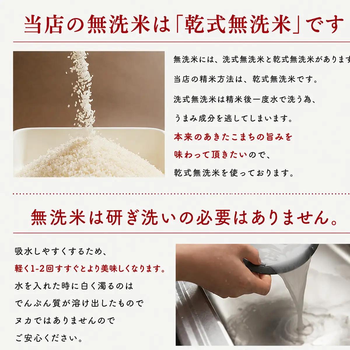 令和7年産 あきたこまち 無洗米 20kg 秋田県産 米 一等米 ブランド米 20キロ 精米 精米したて 一人暮らし 秋田 能代 能代市 送料無料 《こまちライン》