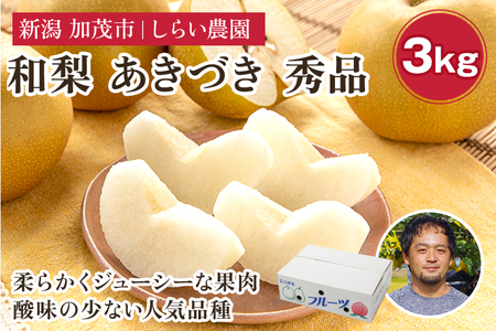 【2026年先行予約】しらい農園の和梨 あきづき 秀品3kg（5～9玉）《9月下旬～順次発送》 果実 フルーツ 贈答 ギフト 甘くてジューシーな梨 なし 秋月 加茂市 しらい農園