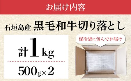 【2025年11月発送】担当者イチオシ!! 石垣島産《黒毛和牛》切り落とし 1kg （500g×2）お肉 肉 牛肉 冷凍 すきやき すき焼き 牛丼 和牛 しゃぶしゃぶ 八重山食肉センター 切落とし Y