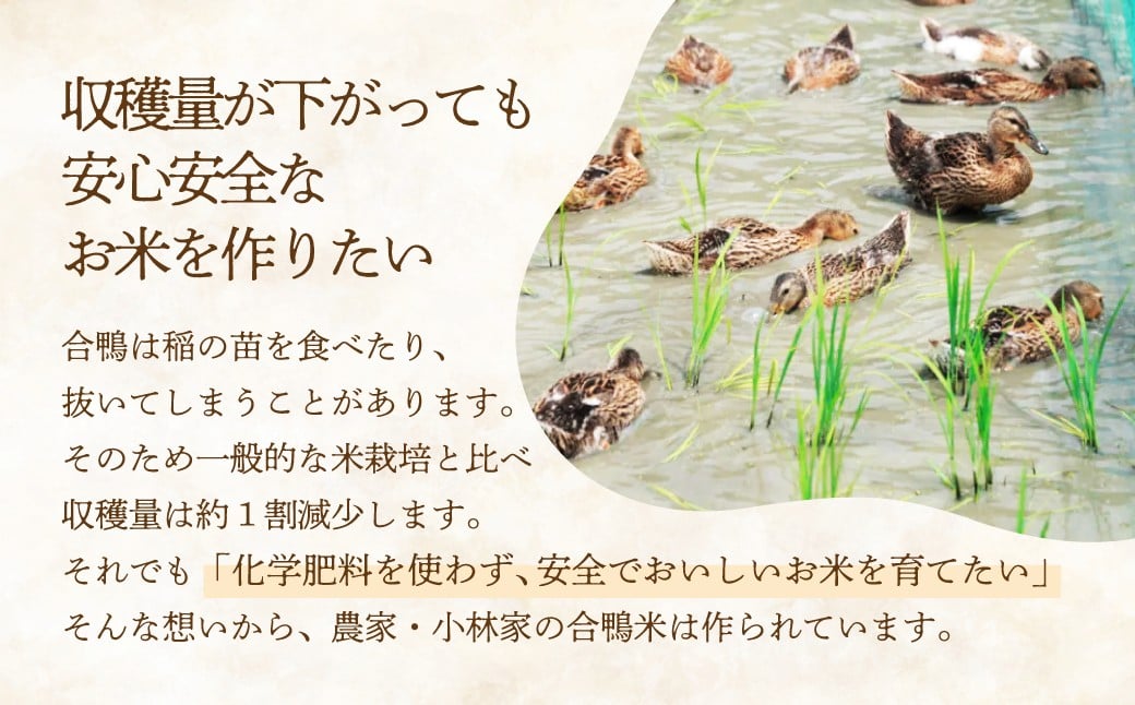 アイガモの力を借りてオーガニックで育てたおいしいおコシヒカリ