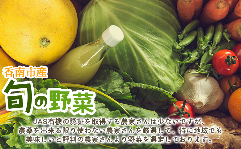 プライム株式会社 定期便3回コース 香南市産 旬のお野菜詰合せ(10～13品目) - 送料無料 10～13種類 やさい 季節の野菜 季節品 新鮮 お楽しみ おたのしみ お任せ おまかせ 詰め合わせ セ