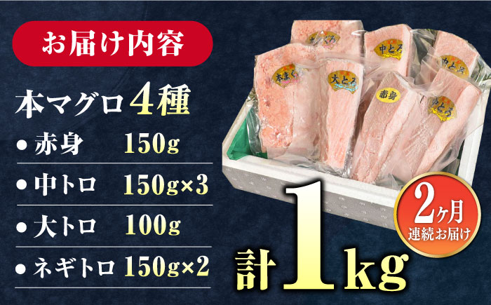 【全2回定期便】対馬産 本マグロ 4種 計1kg（赤身/中トロ/大トロ/ネギトロ）《対馬市》【対海】 新鮮 マグロ 鮪 本鮪 赤身 中トロ 大トロ ネギトロ 海鮮 冷凍 [WAH030]