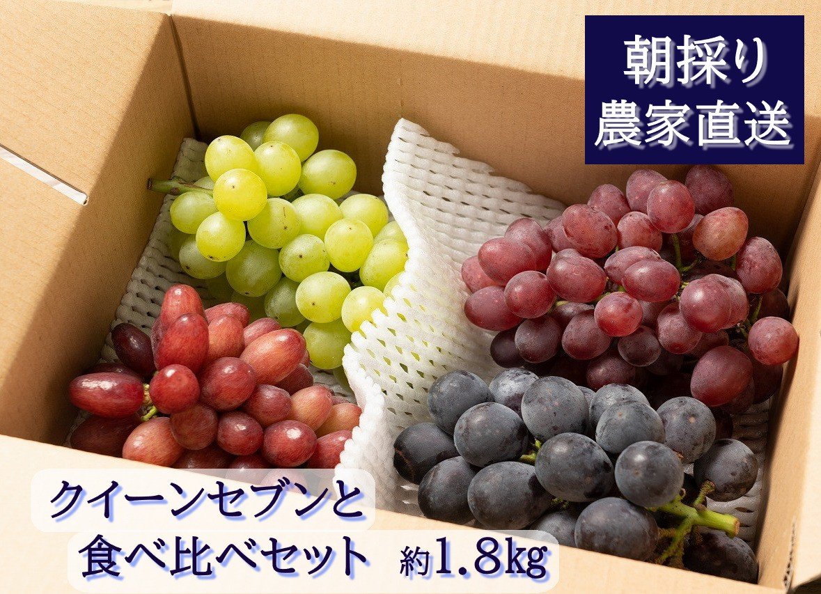 
            【2026年発送分先行予約】クイーンセブンと食べ比べセット（約1.8kg）　8月中旬発送　広島　農家直送・新鮮朝採り　【配送不可：離島】【※お届け日指定不可】
          