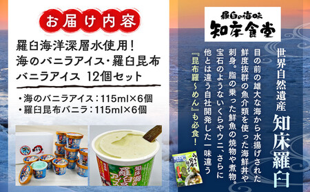 羅臼海洋深層水使用! 海のバニラアイス・羅臼昆布バニラアイス 12個セット  アイスクリーム スイーツ デザート 夏 北海道 羅臼町 知床 生産者 支援 応援
