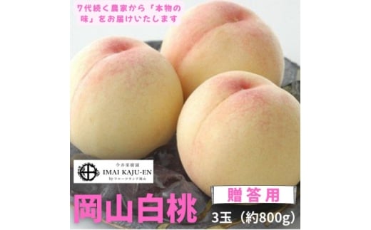 ＜2026年発送＞岡山県産白桃　3玉・約800g(クール便)【1614345】