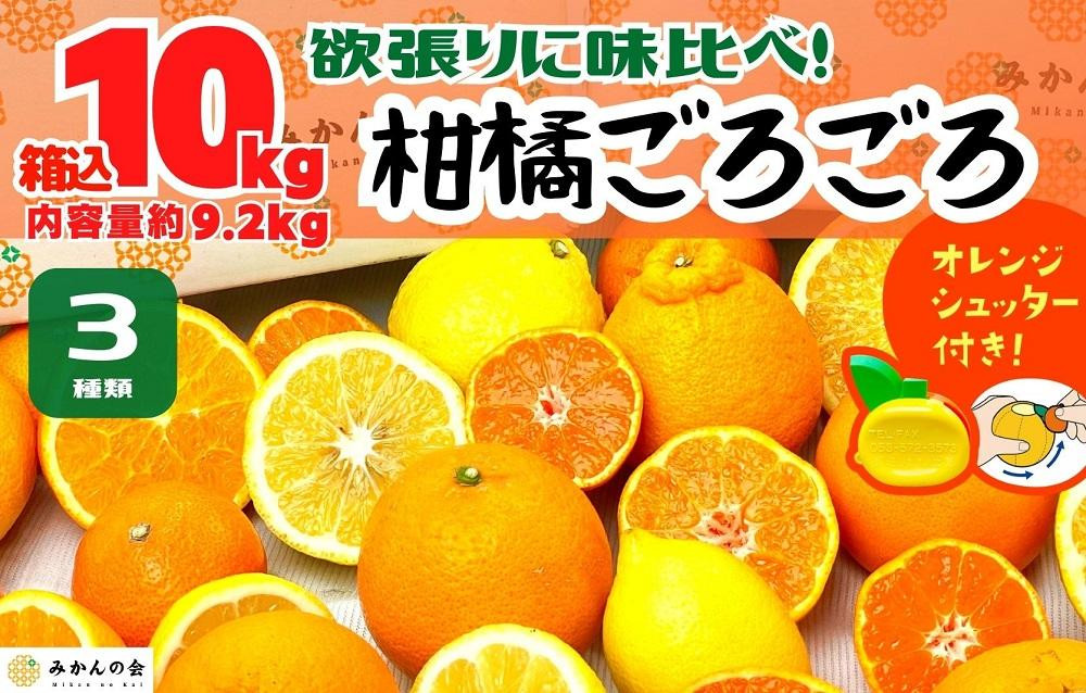 
柑橘ごろごろ 3種 箱込 10kg(内容量約 9.2kg) 秀品 優品 混合 和歌山県産 産地直送 【おまけ付き】【みかんの会】
