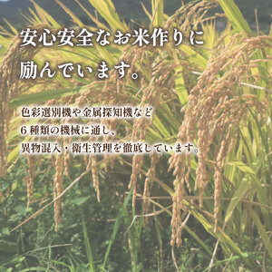 【令和7年産】 Wブレンド米 10kg 山口県産 米 下関 《内日三町：DZ》