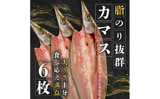 国産 厳選 冬 カマス６枚 干物 脂 旨味 凝縮 真空 パック 食べやすい ご飯 おかず 冷凍 小分け 個包装