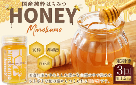 【3ヶ月定期便】国産 無添加 MINOKAMO HONEY はちみつ 1本（500g）×3回 ｜ 藤井養蜂 蜂蜜 非加熱 百花蜜 甘味料 定期便 美濃加茂市