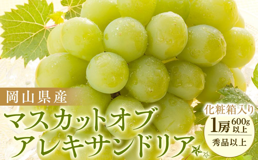 ぶどう 2027年 岡山県産 マスカットオブアレキサンドリア1房(600g以上・秀品以上) 化粧箱入り