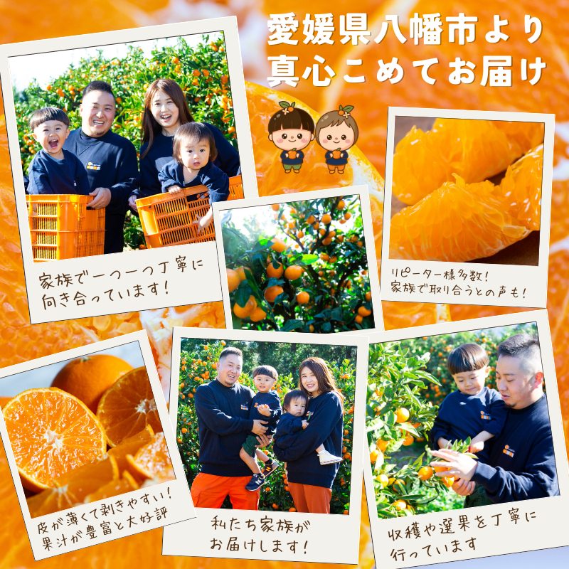 【先行受付】【香る柑橘】とろける甘み【はれひめ】【極】4kg【C49-81】【1621793】 YWTZ066