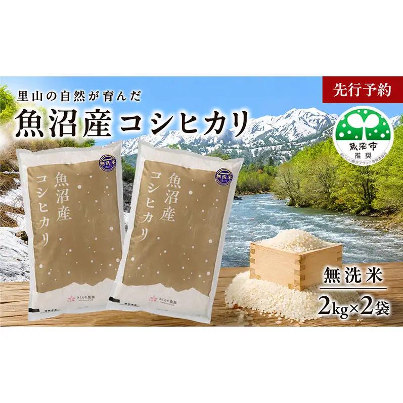 【先行予約 令和8年産】さくらや農園 魚沼産コシヒカリ 無洗米2kg×2 お米 