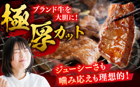 艶さし！ 佐賀牛 焼肉用（バラor肩orモモのいずれか1種） 400g 吉野ヶ里町[FDB076]