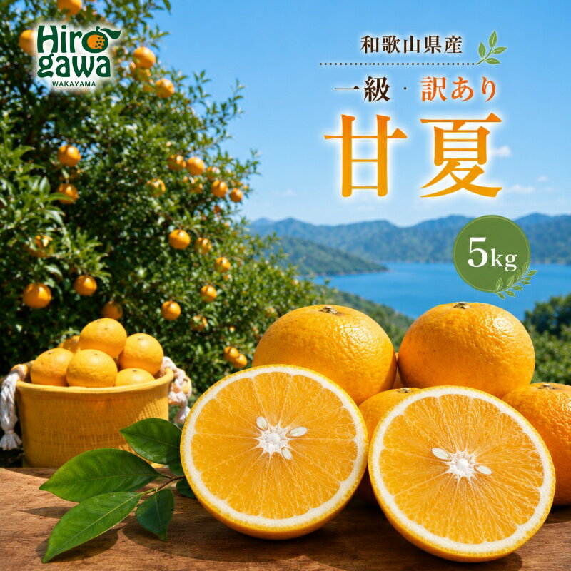 【ふるさと納税】 甘夏 5kg 和歌山 広川町産 ※2027年3月上旬～3月下旬頃に順次発送予定 / 和歌山 有田 広川 みかん あまなつ 柑橘 果物 くだもの ギフト フルーツ 果実