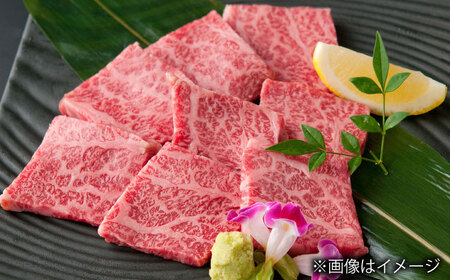 【全6回定期便】長崎和牛 カルビ 総計3.0kg （約500g/回）【ながさき西海農業協同組合】 [DBV025][DBV025]