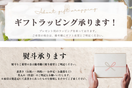 【Tesoro】わんこ用／和牛レバー米粉のクッキー　5袋入り　クッキー