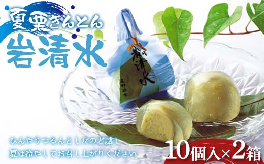 
            〈御菓子司 恵那福堂〉夏栗きんとん 岩清水20個（10個×2箱） F4N-2457
          