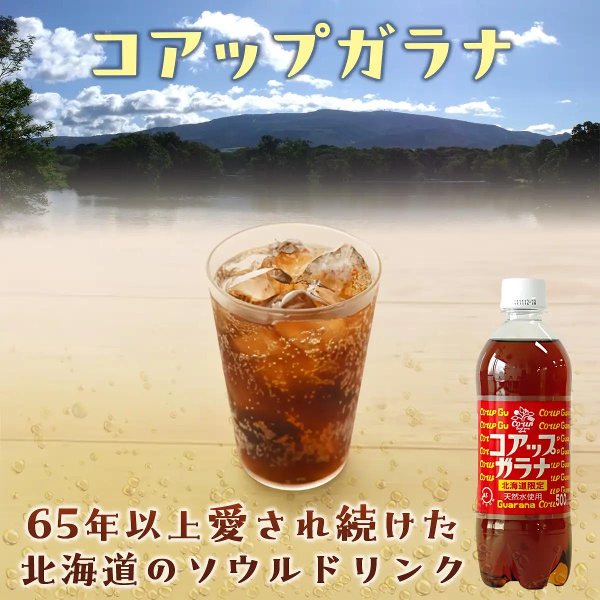 【ふるなびWEEK対象】高評価★5.0 コアップガラナ24本セット（500mlペットボトル） NAQ003