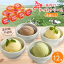 【ふるさと納税】【毎月定期便】稚内牛乳 アイスクリーム 4種12個セット(バニラ、チョコ、宗谷の塩、クマザサ)全4回【配送不可地域：離島】【4052138】