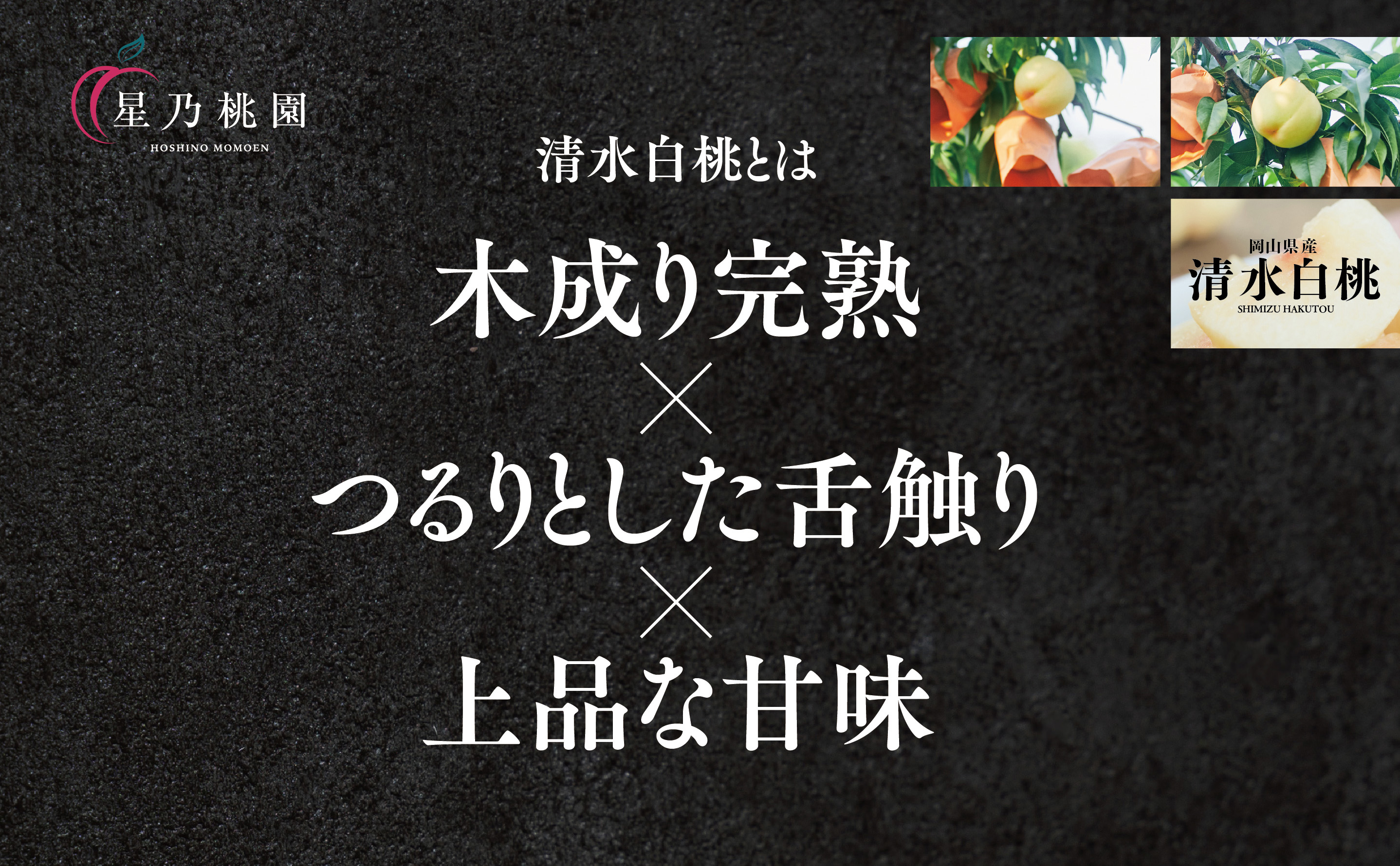 【清水白桃】岡山県産 三つ星 星乃桃園 780g (3玉)【配送不可地域：離島・北海道・沖縄県】【1614286】