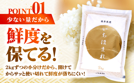 【2026年1月中旬より順次発送】福井県産 いちほまれ 2kg×2袋 合計4kg 福井県 ブランド米 / 白米 精米 甘みとつや 小浜市 / シマダ農園[BFAV013]