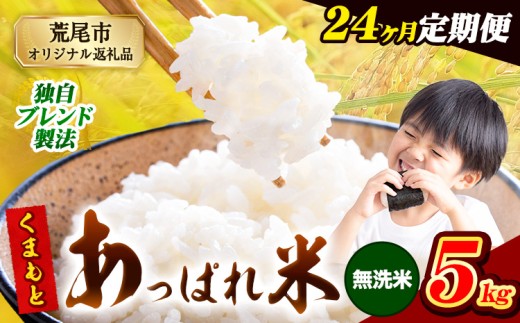 【24ヶ月定期便】熊本県産 くまもとあっぱれ米 ブレンド米 5kg 熊本県産 ふるさと納税 無洗米 精米 米 こめ ふるさとのうぜい コメ お米 おこめ《お申込み翌月から出荷》