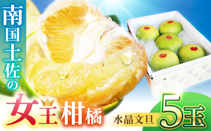 【先行予約】 南国土佐の女王柑橘 水晶文旦 約3kg 5玉入り〈2026年9月中旬～2026年12月中旬頃発送〉/ ぶんたん 文旦 3kg 3キロ フルーツ 高知 名物 果物 柑橘 ムッキー 【フルーツショップオザキ】[ATAH008]