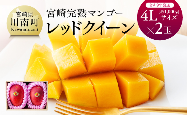 【令和9年発送】宮崎県産完熟マンゴー　「レッドクイーン」4L×2玉 【 果物 フルーツ マンゴー 宮崎県産 完熟マンゴー みやざきマンゴー 先行予約 数量限定 期間限定 】