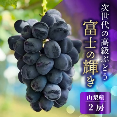 山梨市産 富士の輝  富士の輝き 大粒で高糖度の黒ぶどう 贈答用2房 化粧箱入り【配送不可地域：離島】